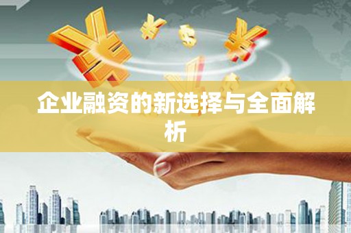 秀屿企业融资的新选择与全面解析