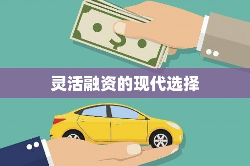 秀屿灵活融资的现代选择