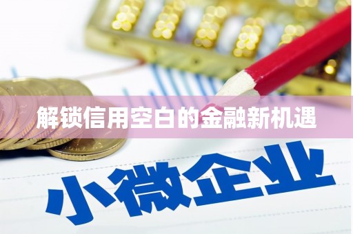 秀屿解锁信用空白的金融新机遇