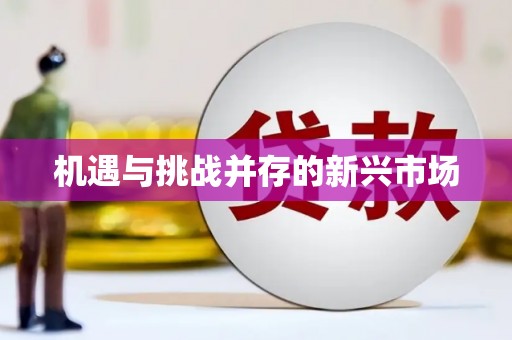 秀屿机遇与挑战并存的新兴市场