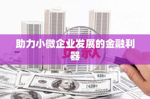秀屿助力小微企业发展的金融利器