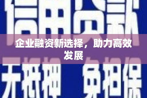 秀屿企业融资新选择，助力高效发展