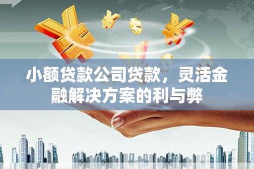 秀屿小额贷款公司贷款，灵活金融解决方案的利与弊